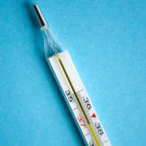 Mercury Thermometer