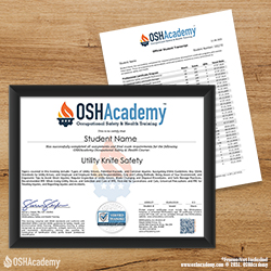 Course 301 Original Certificate Product Image