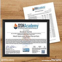 Course 646 Original Certificate Product Image
