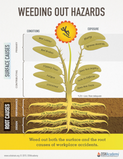 Infographic illustrating the accident weed and how it helps uncover the root causes of accidents.