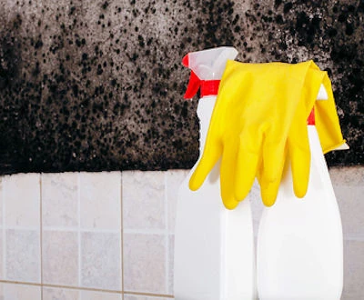 Ventilate and use PPE when cleaning up mold