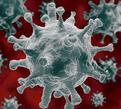 Coronavirus with spikes responsible for SARS-COVID
