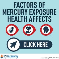 Infographic showsing mercury exposure health effects