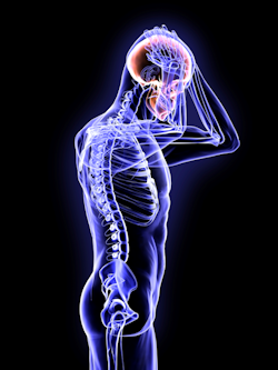Side view of Human anatomy