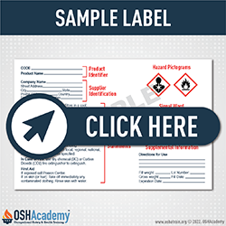 Sample GHS label