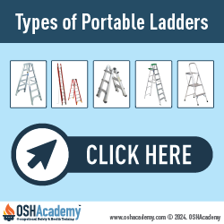 Geigle Safety Group Infographic on Portable Ladders
