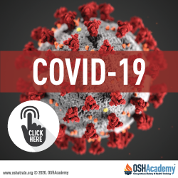 Infographic showing information about COVID-19 morphology