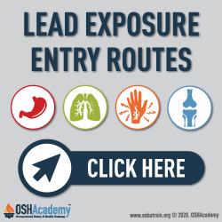 lead exposure entry routes