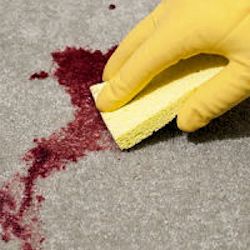 Worker wearing rubber glove using a sponge to clean up blood on the ground.