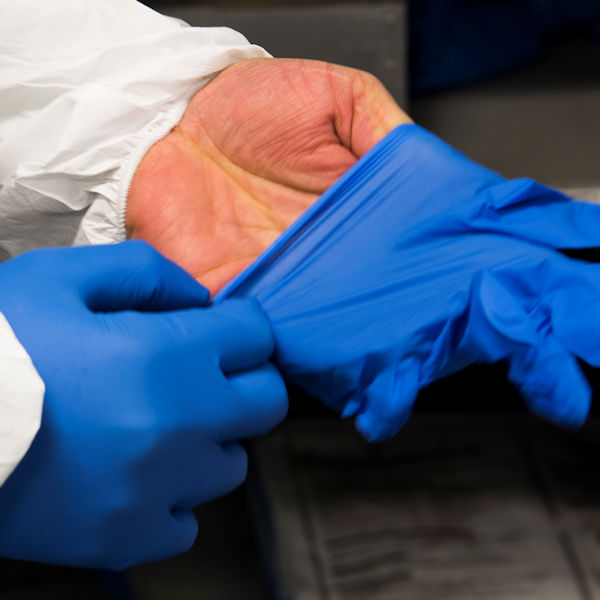 gloves