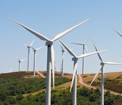 Field of wind turbines.