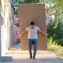 worker carrying plywood