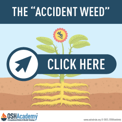 Infographic of Accident Weed