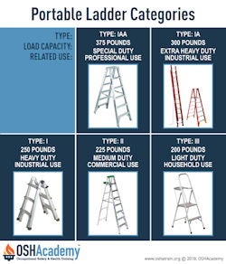 Infographic of portable ladder categories