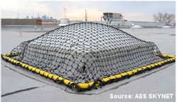 Roof top with net over skylight cover