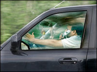 Distracted Driving