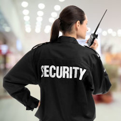 Image of a security guard