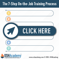 Geigle Safety Group Infographic of Job Training Process
