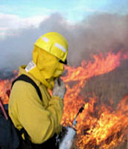 Image of firefighter and raging grass fire.