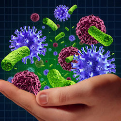 Viruses, bacteria, and fungi