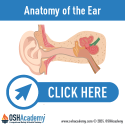 Geigle Safety Group Anatomy of the Ear Infographic