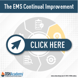 Geigle Safety Group Image of Continual Improvement Process Cycle