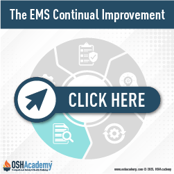 Geigle Safety Group Image of Continual Improvement Process Cycle