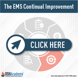 Geigle Safety Group Infographic of Continual Improvement Process Cycle