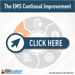 Geigle Safety Group Image of Continual Improvement Process Cycle
