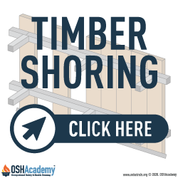 Timber shoring components infographic