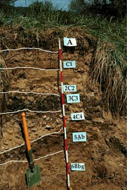 Trench showing different types of soil levels