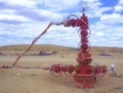 Blowout preventer on a completed well site