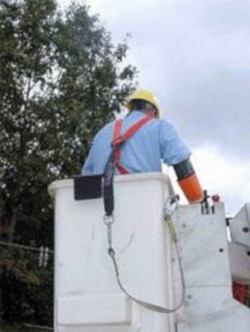 Man, wearing a harness and lanyard, in a manlift basket.