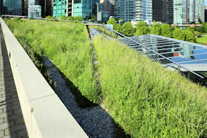 Image of a green roof on top of a building